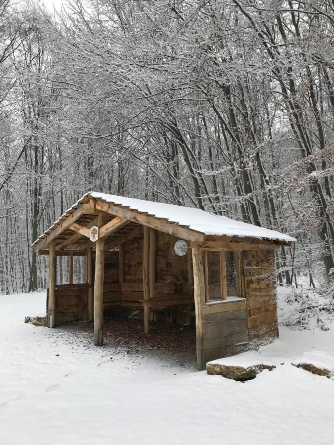Ferienwohnung Auszeit Am Kurpark Bad Berka - Balkon - Ruhige Lage- Gratis Parkplatz & Wlan Exterior foto