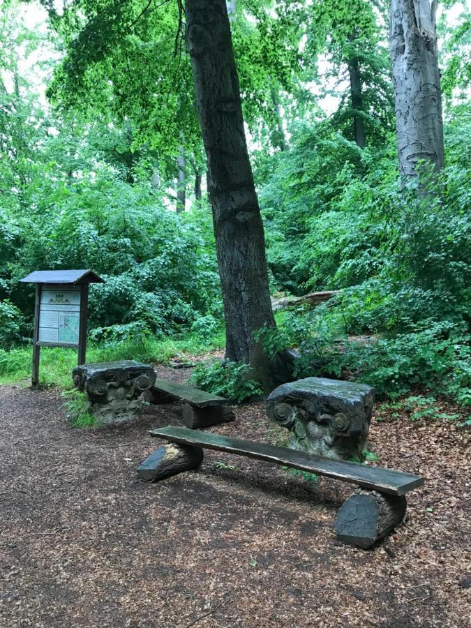 Ferienwohnung Auszeit Am Kurpark Bad Berka - Balkon - Ruhige Lage- Gratis Parkplatz & Wlan Exterior foto
